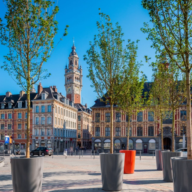 Vieux-Lille : balade entre façades flamandes et terrasses 
